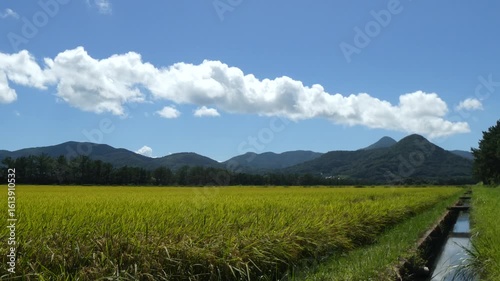 日本の田園風景
