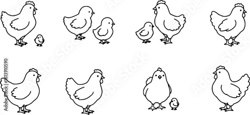 Chicken silhouettes set, large pack of vector silhouette design, isolated white background