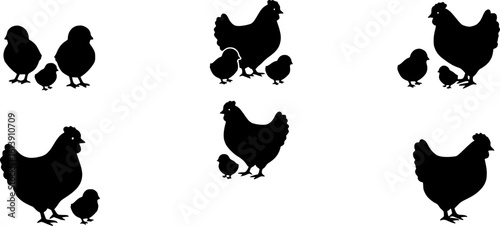 Chicken silhouettes set, large pack of vector silhouette design, isolated white background