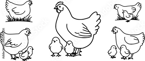 Chicken silhouettes set, large pack of vector silhouette design, isolated white background