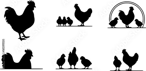 Chicken silhouettes set, large pack of vector silhouette design, isolated white background
