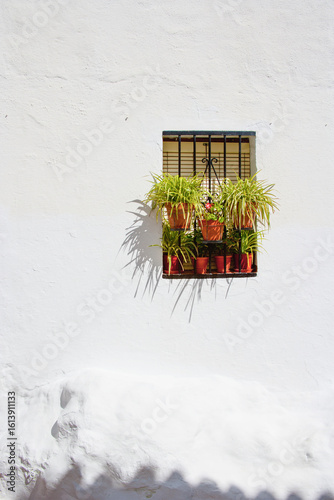 Whitewashed Andalusian wall with small window and flowerpots casting sharp shadows, symbolizing vernacular architecture, Mediterranean aesthetics and local visual identity.