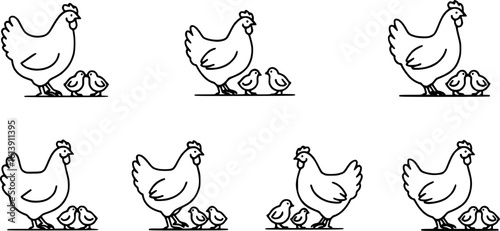 Chicken silhouettes set, large pack of vector silhouette design, isolated white background