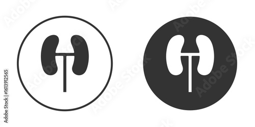 Kidney icon. sign designs. solid pictogram