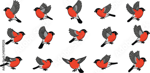 Flying bullfinch bird animation set, cartoon red bird in motion, bird flight cycle, cute bird sprite sheet, vector wildlife