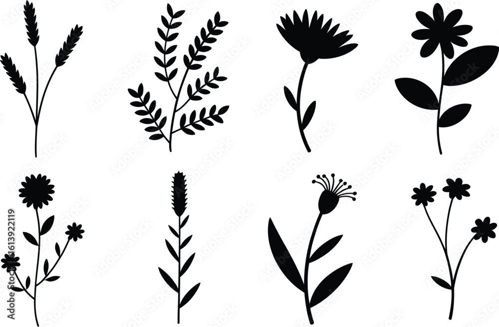 Fototapeta premium Set of black silhouette floral and plant elements flower