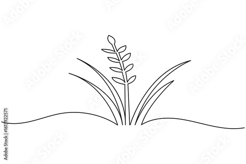 Continuous one line drawing of abstract meadow with grass and chamomile flower on white background