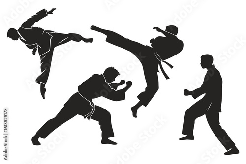 Martial arts silhouettes demonstrating dynamic kicks and punches