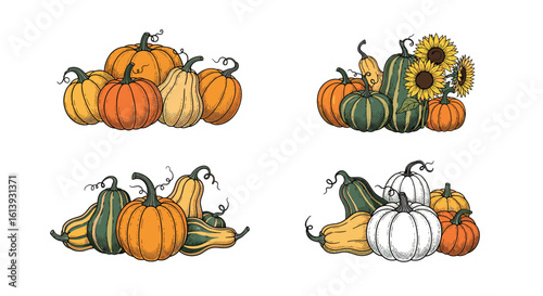 A beautiful harvest arrangement of autumn pumpkins gourds and sunflowers for seasonal decorations and celebrations