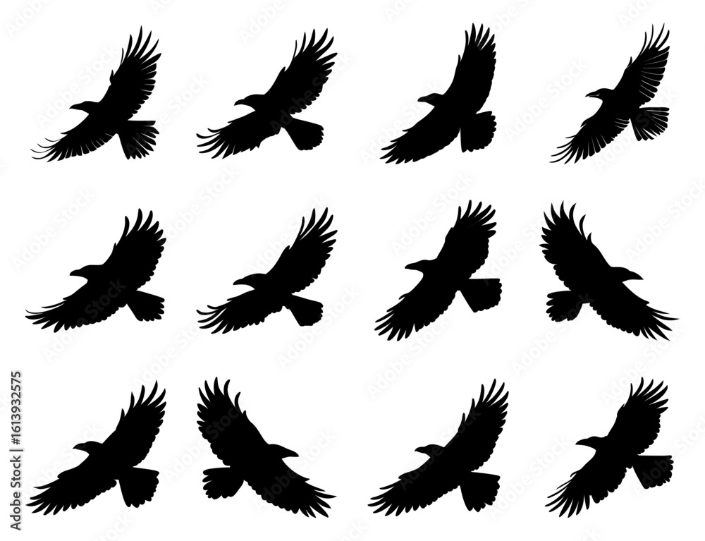 Obraz premium Flying Crow Silhouettes Collection