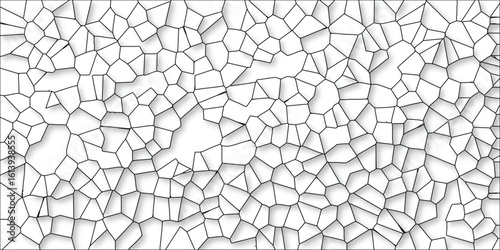 Abstract voronoi diagram pattern with a white background and black lines displaying geometric shapes