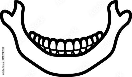 Human jaw outline icon vector
