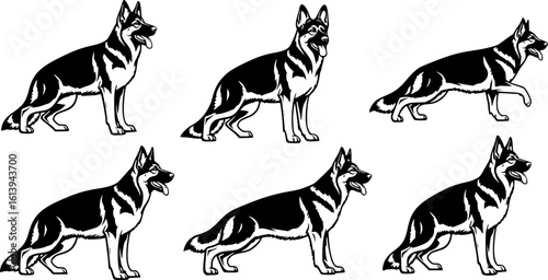 German shepherd dog breed black silhouette logo set
