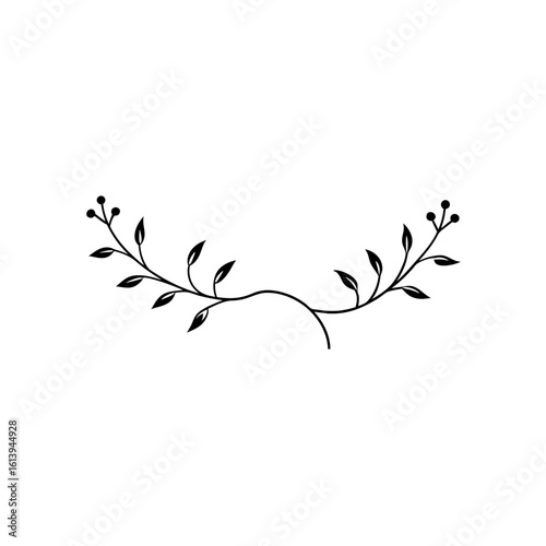  delicate black   white botanical border   elegant