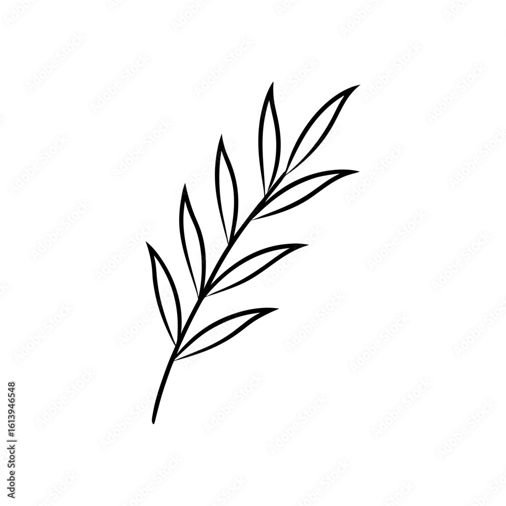 Fototapeta premium soft blue olive branch outline on white contemp