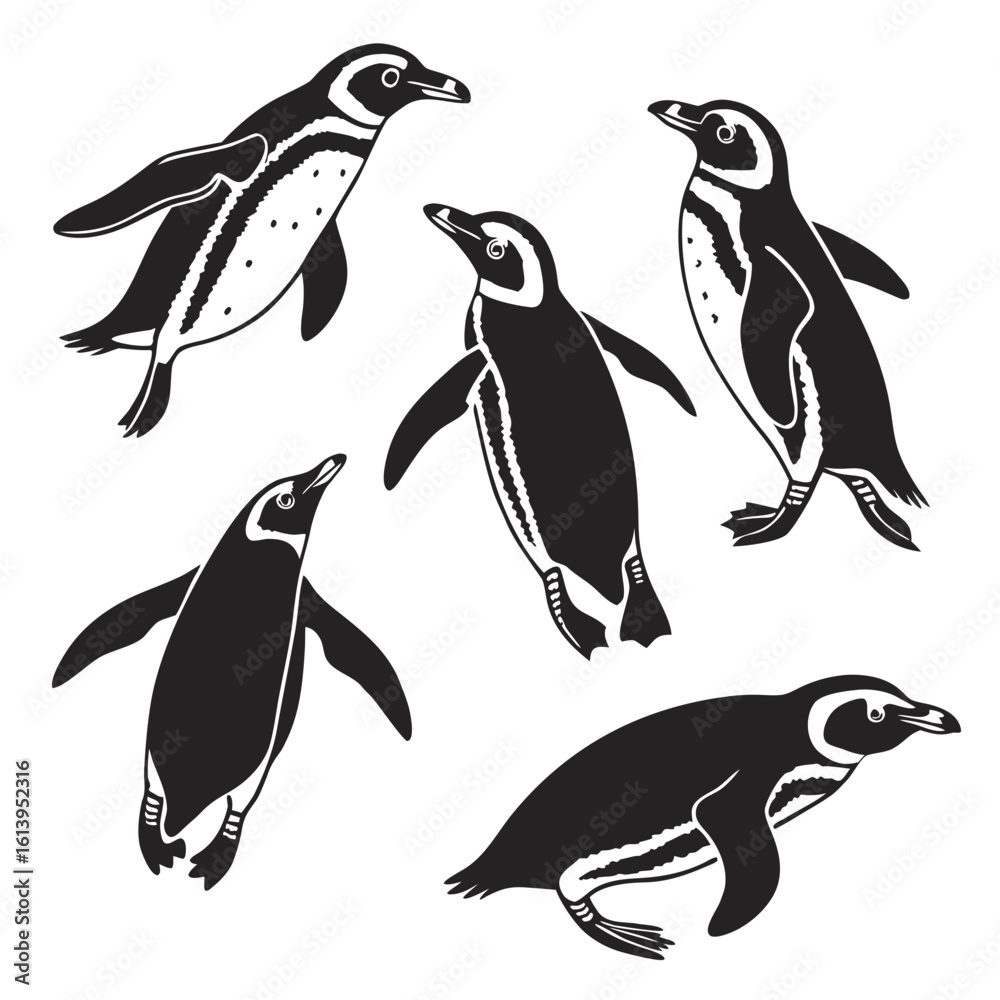 Fototapeta premium Stylized Silhouette Bundle Of Ballet Dancers