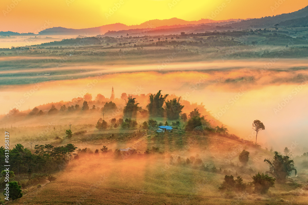 Obraz premium The landscape photo, tree silhouette and sea fog during morning time at Khao Kho National, Phetchaboon,Thailand.