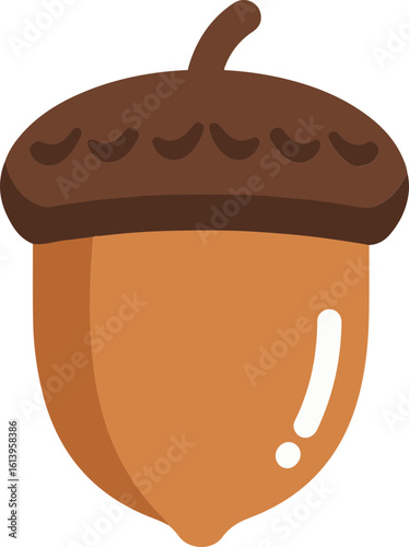 acorn