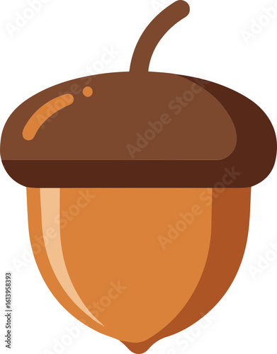 acorn