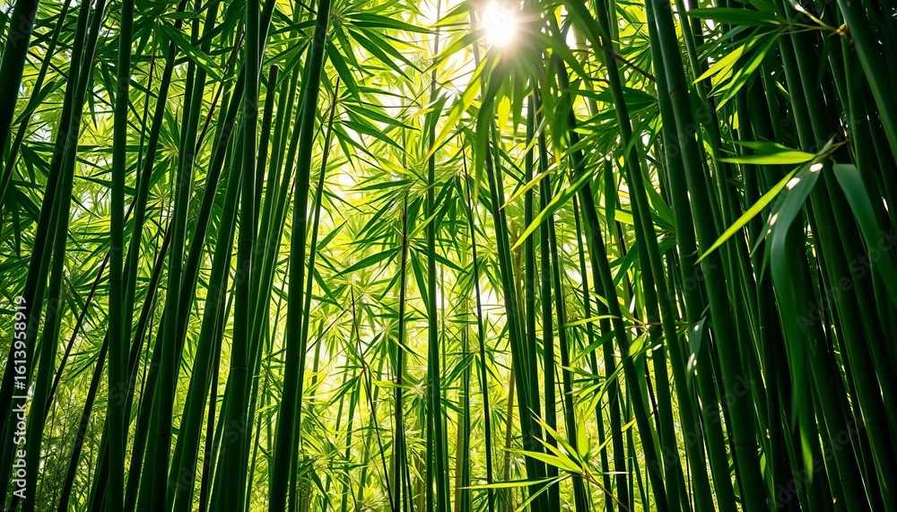 Fototapeta premium Lush green bamboo stalks and leaves, sunlight filtering through, pattern, vibrant green