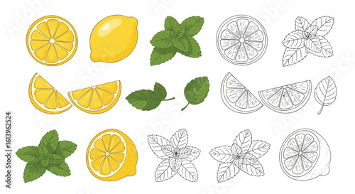 Refreshing citrus and mint flavors for healthy drinks and culinary creations