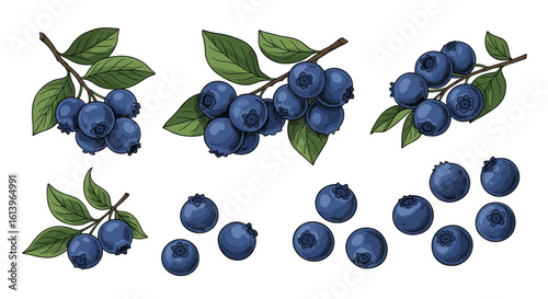 Vibrant fresh blueberries scattered and in clusters for health and sweetness