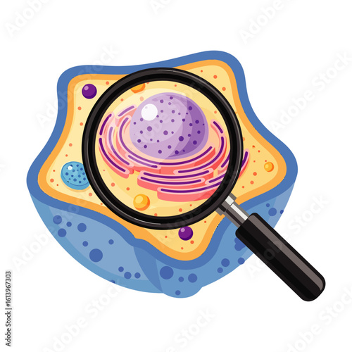 Cartoon vector illustration showing a cell structure with nucleus, 