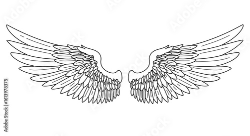 Angel wings drawing vector illustration, feathered wings sketch, tattoo wings outline, wings design art