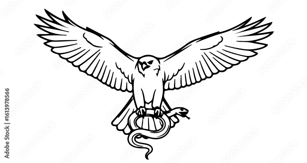 Obraz premium Eagle with snake tattoo design vector illustration predatory bird and serpent art graphic outline drawing