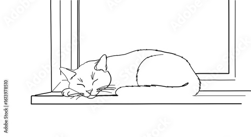 Sleeping cat on window sill drawing illustration for pet lovers and animal art collectors is perfect