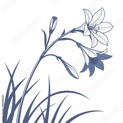 floral background with ipheion uniflorum charlotte bishop