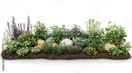 A diverse arrangement of greenery and stones, creating a natural garden bed. Various herbs and shrubs are showcased in a horizontal layout