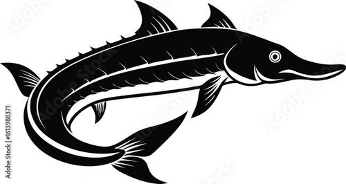 Lake sturgeon silhouette, freshwater fish line art, aquatic animal vector, minimal marine drawing, nature illustration design
