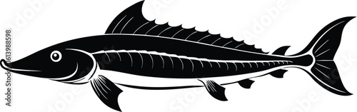 Lake sturgeon silhouette, freshwater fish line art, aquatic animal vector, minimal marine drawing, nature illustration design