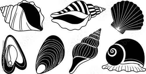 Seashells - Cartoon Vector Illustration
