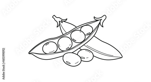 Hand drawn illustration of pea pods with peas inside in black outline