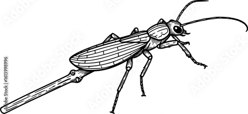 Stick Insect Vector
