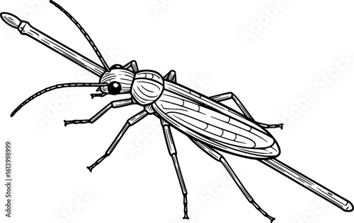 Stick Insect Vector
