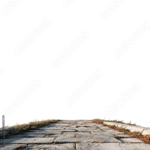 An empty paved road disappearing into the distance