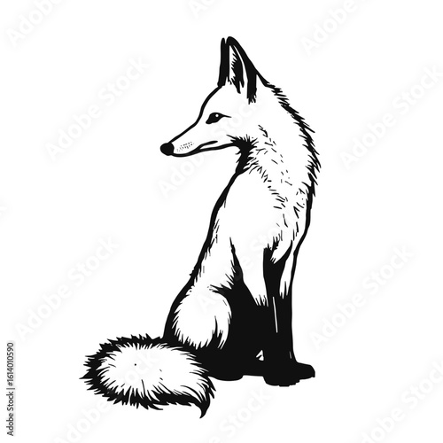 Elegant black and white illustration of a fox sitting with copy space
