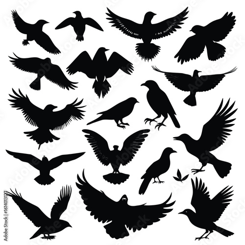 A diverse vector collection of flying bird silhouettes, including doves, pigeons, eagles, and hawks, perfect for nature and wildlife illustrations