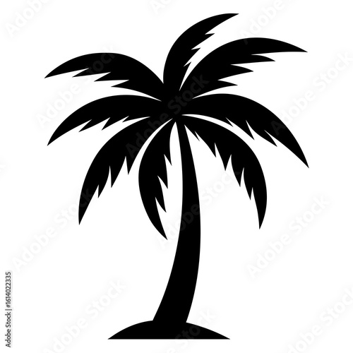 palm tree silhouette