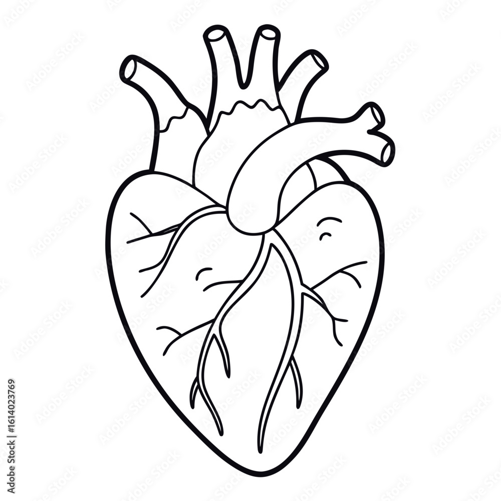 Fototapeta premium hand drawn vector illustration