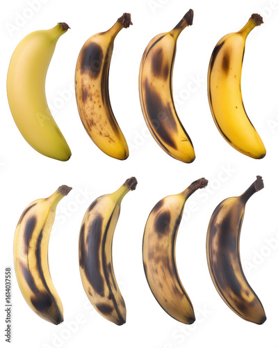 Banana Ripening Stages in a Row