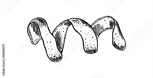 Whole spiral lemon peel vector illustration. Citrus skin in twist shape line art painted by black inks. monochrome fruit ingredient for beverage packaging, bar menus, healthy food, cookbook design