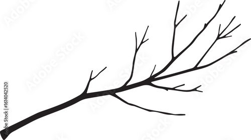 Long Branch Silhouette Vector Style For Nature And Botanical Design