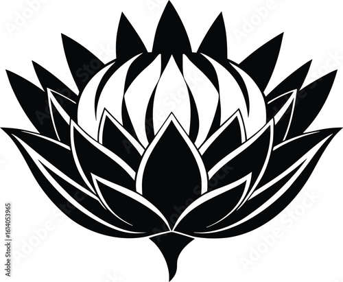 Fotografía King protea flower, botanical silhouette drawing, floral line art vector, exotic