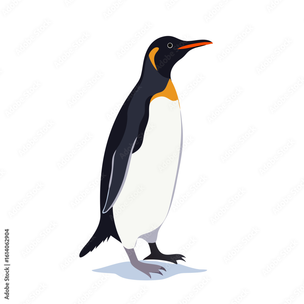 Obraz premium Penguins 