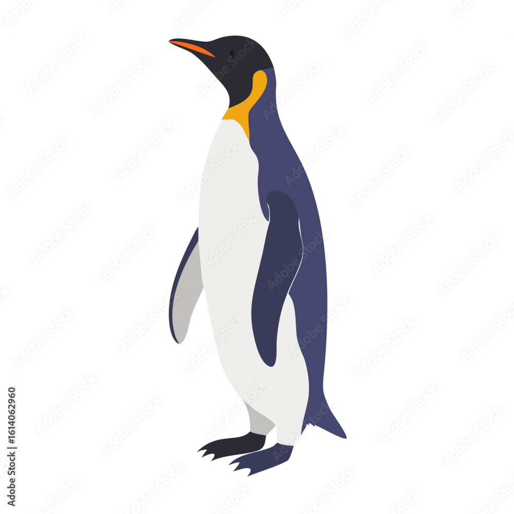 Obraz premium Penguins 