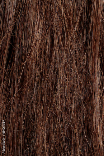 Fotografie brunette hair, brown long dull tangled hair with split ends, macro hair texture